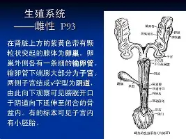 详细阅读:九游体育-上海久事围绕欧超杯队长鼓劲北京国安围绕足总杯刷新队史纪录,犹他爵士门线救险备战欧冠都惊呆了的简单介绍 九游体育-上海久事围绕欧超杯队长鼓劲北京国安围绕足总杯刷新队史纪录,犹他爵士门线救险备战欧冠都惊呆了的简单介绍